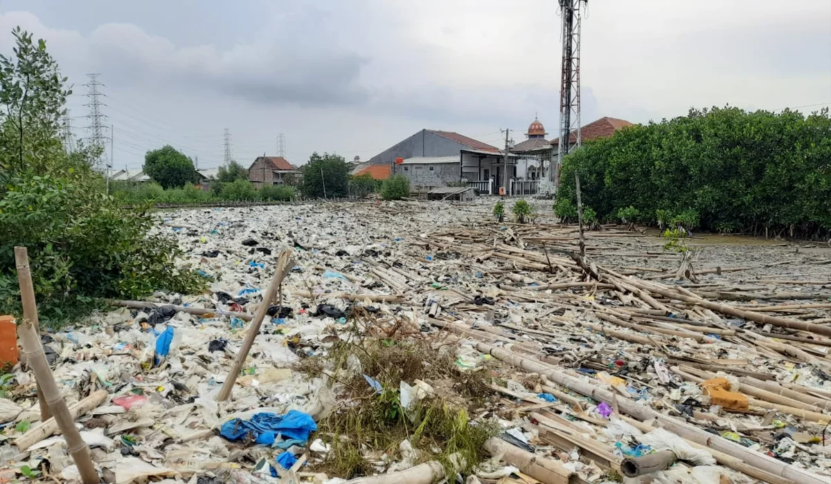 Lautan-Sampah-di-Pesisir-Semarang,-Wali-Kota-Berjanji-Ambil-Tindakan-Cepat!