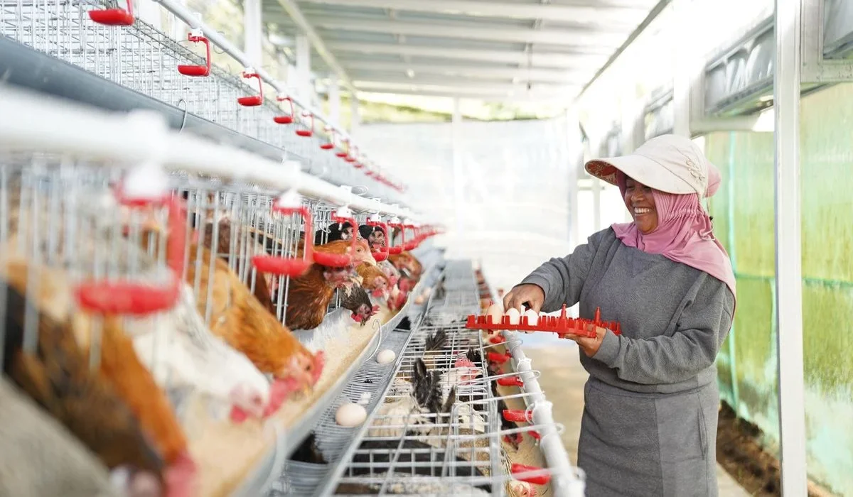 Sinergi-Dengan-Program-Greenhouse-dan-Pemanfaatan-Limbah