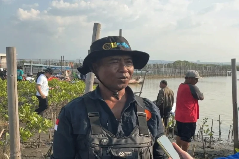 Kasno dan Komunitas Mangrove, Melindungi Pesisir Semarang Dari Abrasi Kasno dan Komunitas Mangrove, Melindungi Pesisir Semarang Dari Abrasi